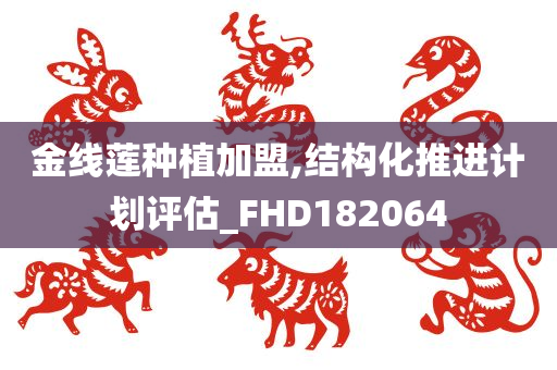 金线莲种植加盟,结构化推进计划评估_FHD182064