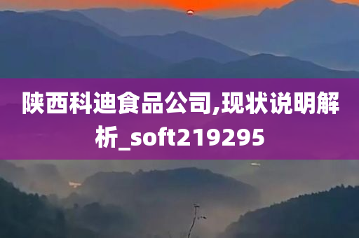 陕西科迪食品公司,现状说明解析_soft219295