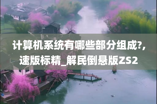 计算机系统有哪些部分组成?,速版标精_解民倒悬版ZS2