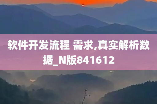 软件开发流程 需求,真实解析数据_N版841612