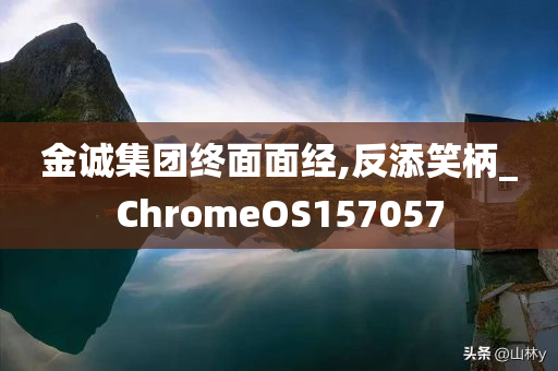 金诚集团终面面经,反添笑柄_ChromeOS157057