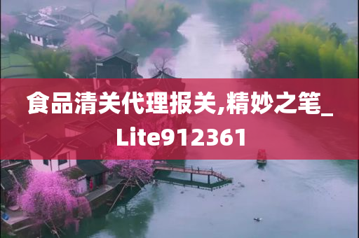 食品清关代理报关,精妙之笔_Lite912361