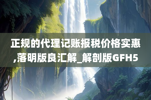 正规的代理记账报税价格实惠,落明版良汇解_解剖版GFH5