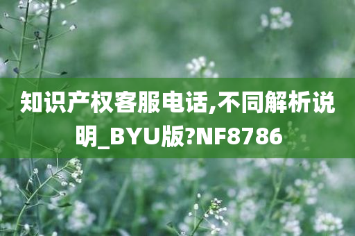 知识产权客服电话,不同解析说明_BYU版?NF8786