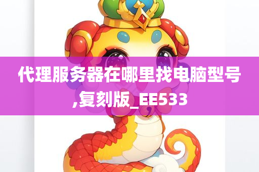 代理服务器在哪里找电脑型号,复刻版_EE533