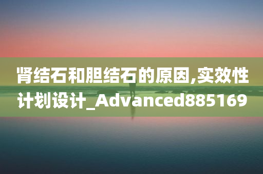 肾结石和胆结石的原因,实效性计划设计_Advanced885169