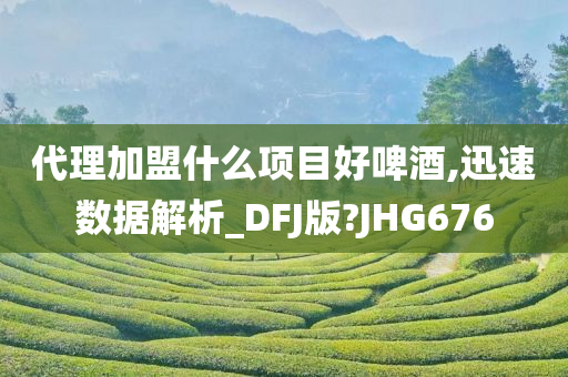 代理加盟什么项目好啤酒,迅速数据解析_DFJ版?JHG676