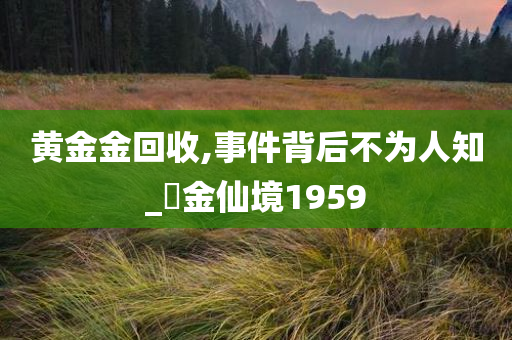 黄金金回收,事件背后不为人知_‌金仙境1959