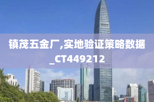 镇茂五金厂,实地验证策略数据_CT449212