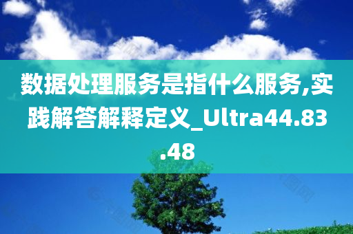 数据处理服务是指什么服务,实践解答解释定义_Ultra44.83.48