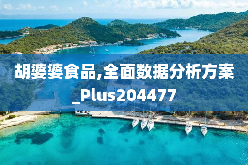 胡婆婆食品,全面数据分析方案_Plus204477