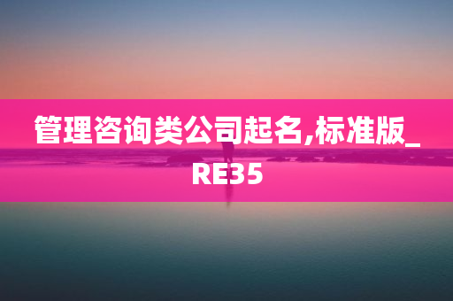 管理咨询类公司起名,标准版_RE35