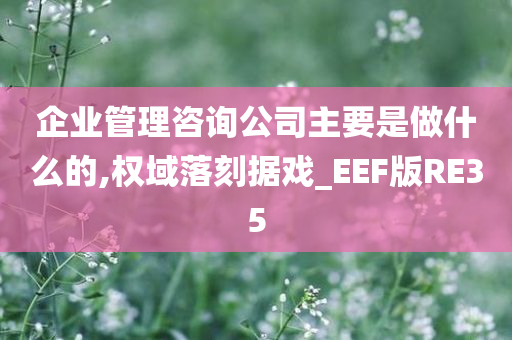 企业管理咨询公司主要是做什么的,权域落刻据戏_EEF版RE35