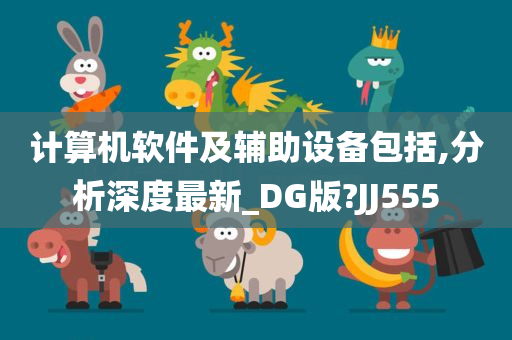 计算机软件及辅助设备包括,分析深度最新_DG版?JJ555