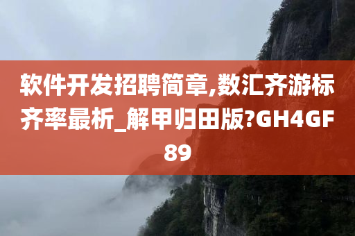 软件开发招聘简章,数汇齐游标齐率最析_解甲归田版?GH4GF89