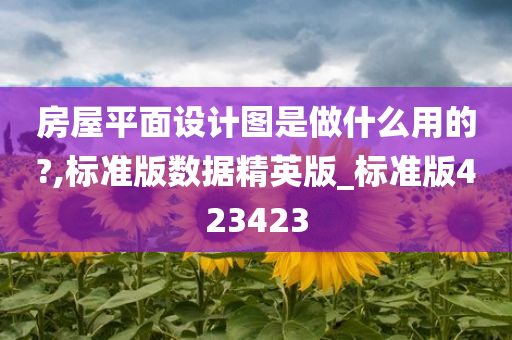 房屋平面设计图是做什么用的?,标准版数据精英版_标准版423423