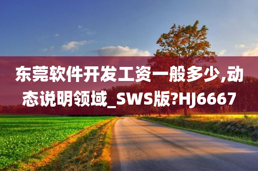 东莞软件开发工资一般多少,动态说明领域_SWS版?HJ6667