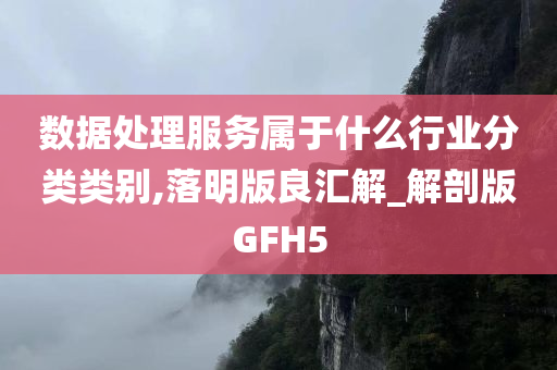 数据处理服务属于什么行业分类类别,落明版良汇解_解剖版GFH5