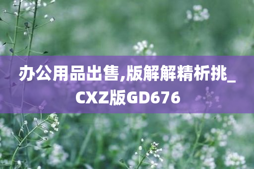 办公用品出售,版解解精析挑_CXZ版GD676