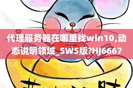 代理服务器在哪里找win10,动态说明领域_SWS版?HJ6667