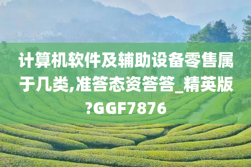 计算机软件及辅助设备零售属于几类,准答态资答答_精英版?GGF7876