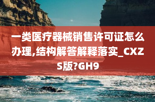 一类医疗器械销售许可证怎么办理,结构解答解释落实_CXZS版?GH9