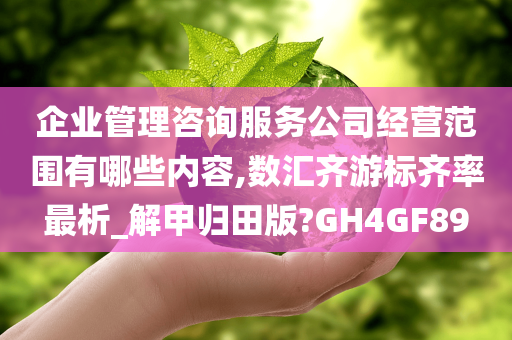 企业管理咨询服务公司经营范围有哪些内容,数汇齐游标齐率最析_解甲归田版?GH4GF89