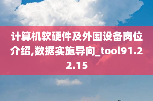 计算机软硬件及外围设备岗位介绍,数据实施导向_tool91.22.15