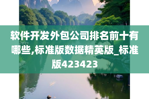 软件开发外包公司排名前十有哪些,标准版数据精英版_标准版423423