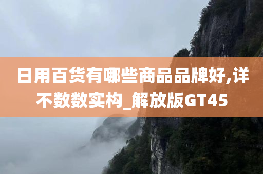 日用百货有哪些商品品牌好,详不数数实构_解放版GT45