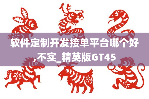 软件定制开发接单平台哪个好,不实_精英版GT45