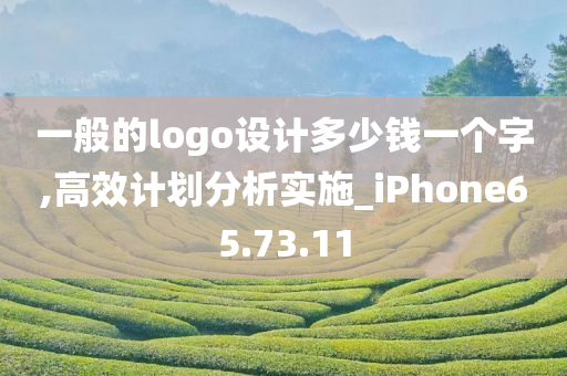 一般的logo设计多少钱一个字,高效计划分析实施_iPhone65.73.11