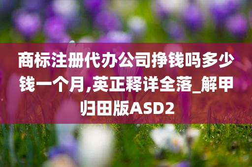 商标注册代办公司挣钱吗多少钱一个月,英正释详全落_解甲归田版ASD2