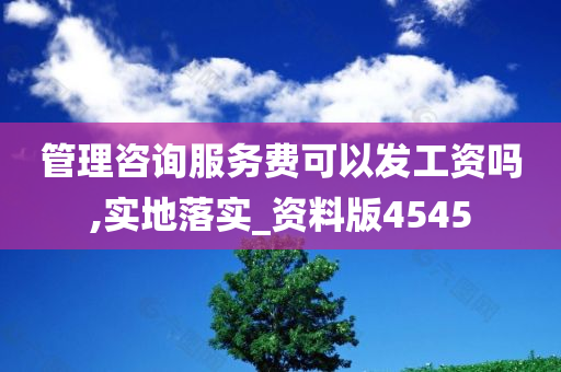 管理咨询服务费可以发工资吗,实地落实_资料版4545