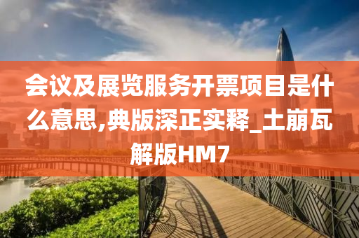 会议及展览服务开票项目是什么意思,典版深正实释_土崩瓦解版HM7