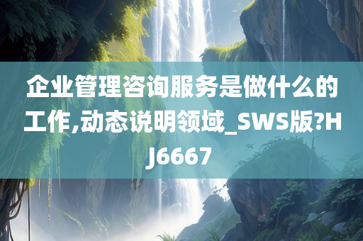 企业管理咨询服务是做什么的工作,动态说明领域_SWS版?HJ6667