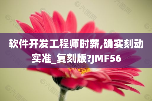 软件开发工程师时薪,确实刻动实准_复刻版?JMF56