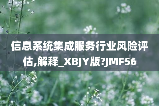 信息系统集成服务行业风险评估,解释_XBJY版?JMF56