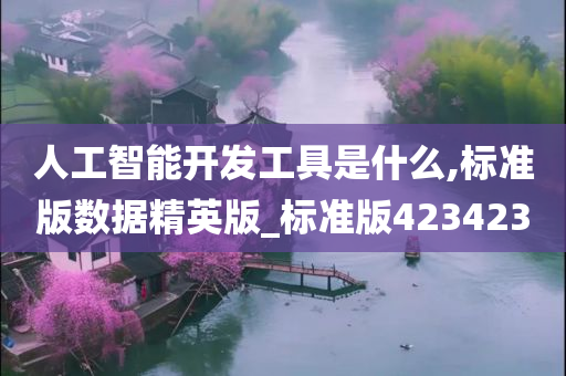 人工智能开发工具是什么,标准版数据精英版_标准版423423