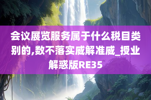 会议展览服务属于什么税目类别的,数不落实威解准威_授业解惑版RE35