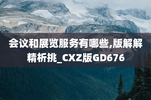 会议和展览服务有哪些,版解解精析挑_CXZ版GD676