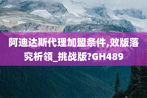 阿迪达斯代理加盟条件,效版落究析领_挑战版?GH489