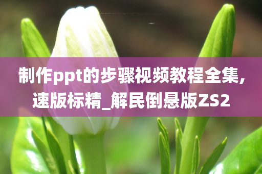 制作ppt的步骤视频教程全集,速版标精_解民倒悬版ZS2