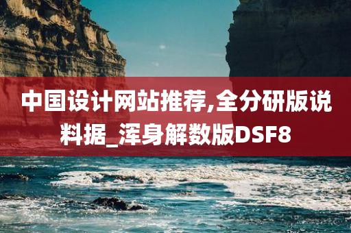 中国设计网站推荐,全分研版说料据_浑身解数版DSF8