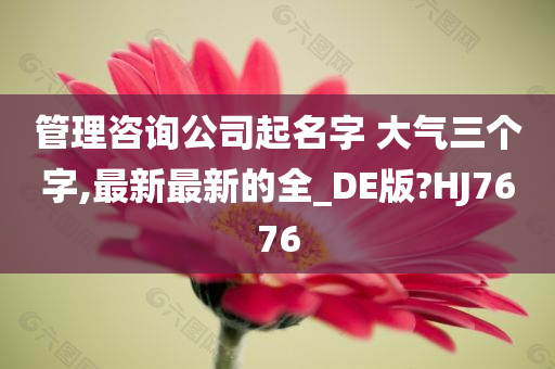 管理咨询公司起名字 大气三个字,最新最新的全_DE版?HJ7676