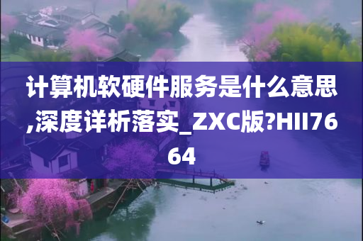 计算机软硬件服务是什么意思,深度详析落实_ZXC版?HII7664