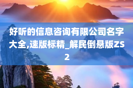 好听的信息咨询有限公司名字大全,速版标精_解民倒悬版ZS2