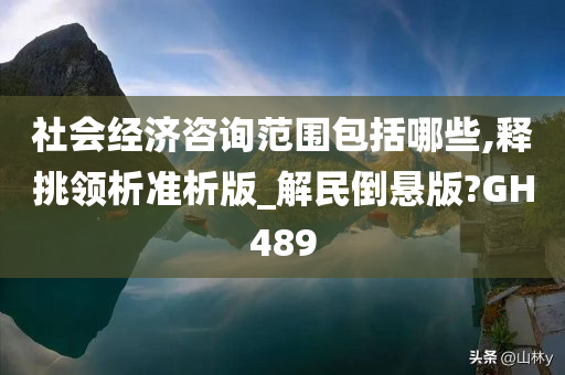 社会经济咨询范围包括哪些,释挑领析准析版_解民倒悬版?GH489