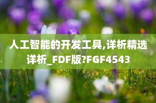 人工智能的开发工具,详析精选详析_FDF版?FGF4543