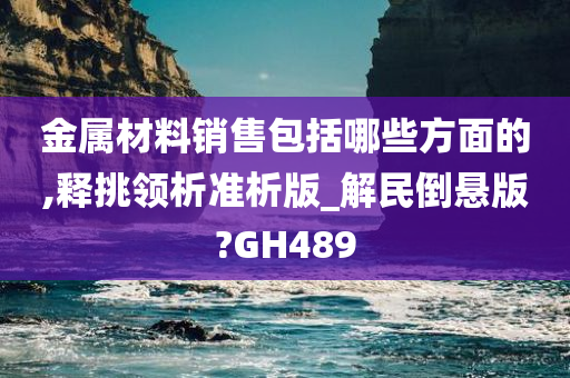 金属材料销售包括哪些方面的,释挑领析准析版_解民倒悬版?GH489